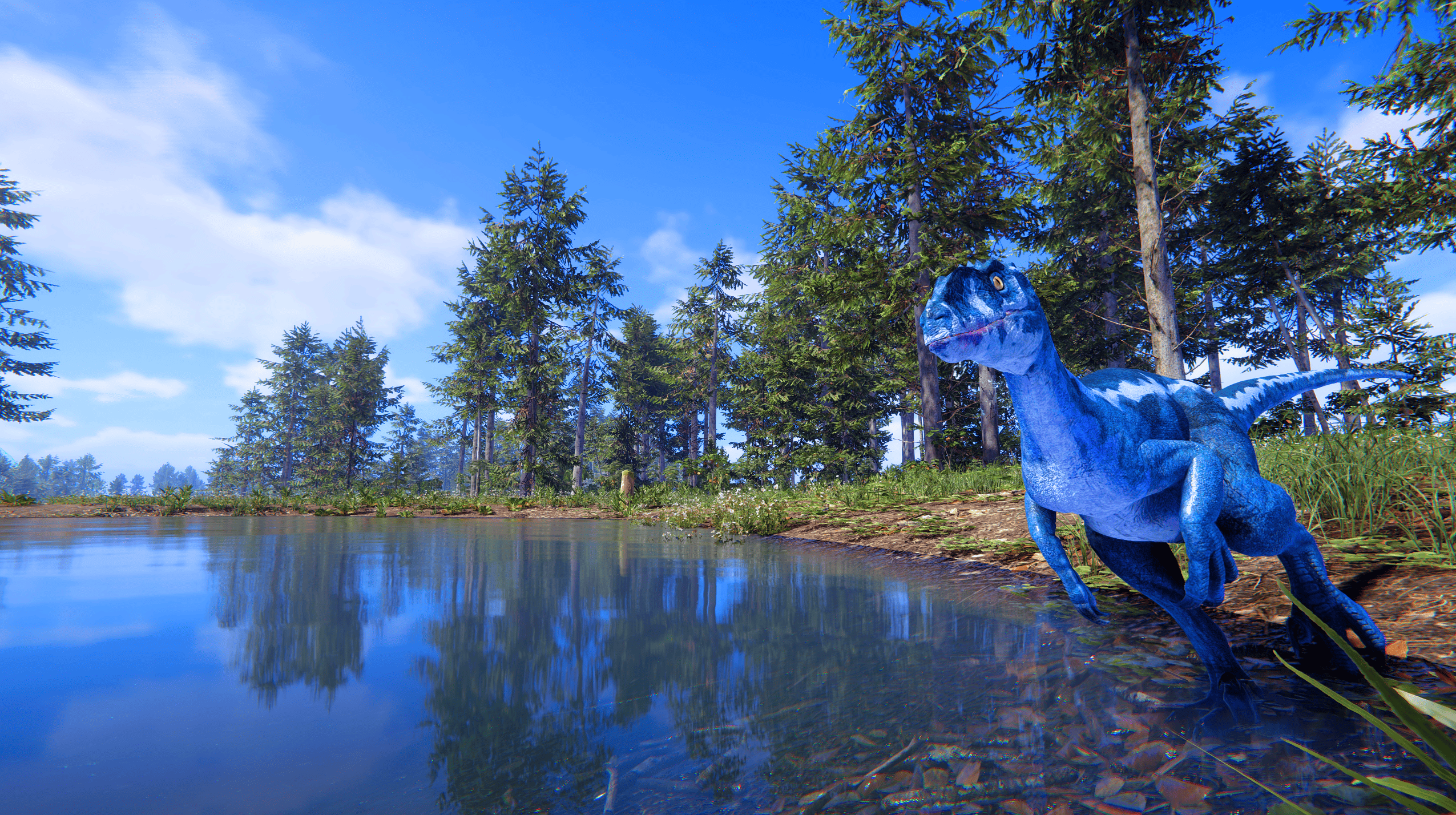 2026最新恐龙岛版本更新安装失败怎么解决，附新手入门流程